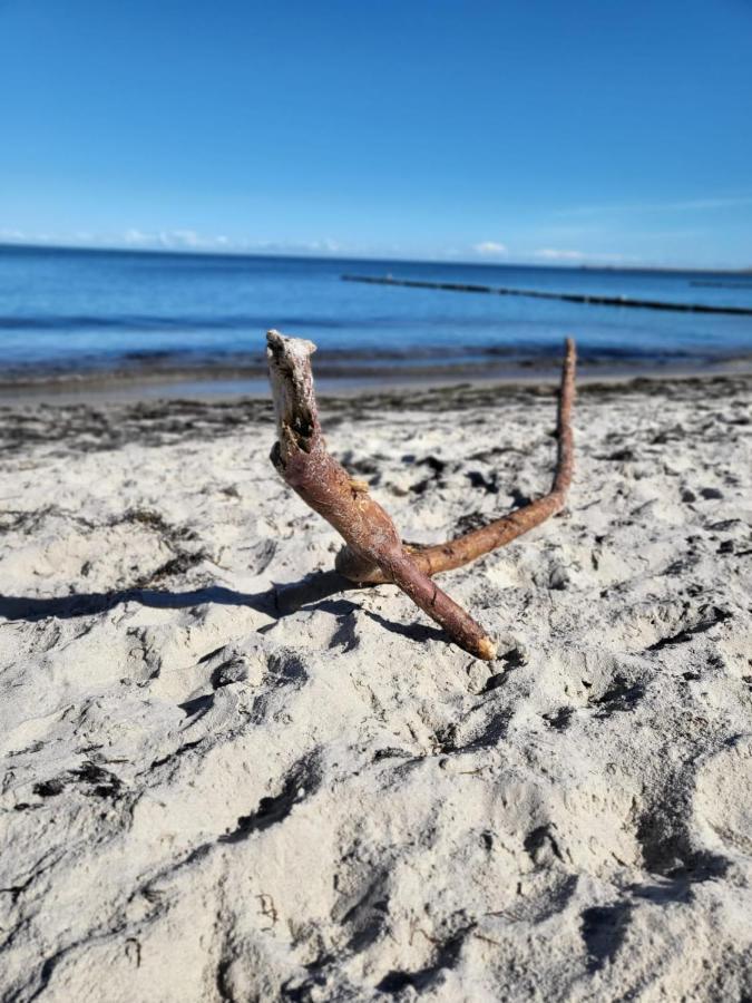 Strandhaus Wittower Heide Glowe Eksteriør billede